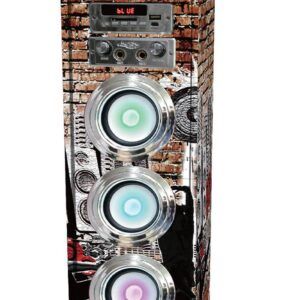 Alt  Karaoke C/FM/BT/USB 2Mic 90W Grafiti Hamann 