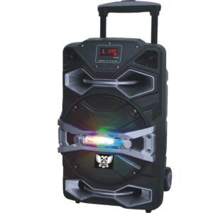 Alt 10 AutoAmpl C/FM/BT/USB/SD/Mic In  450W Hamann